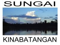 kinabatangan thumbnail